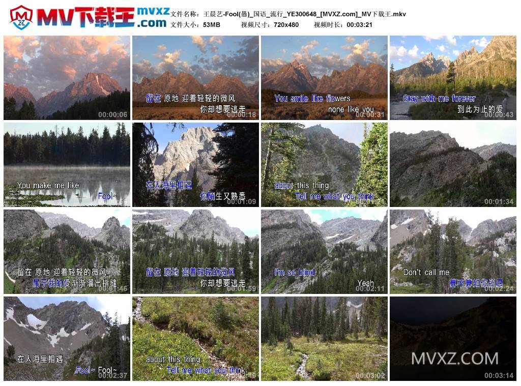 王晨艺-Fool(愚)_国语_流行_YE300648